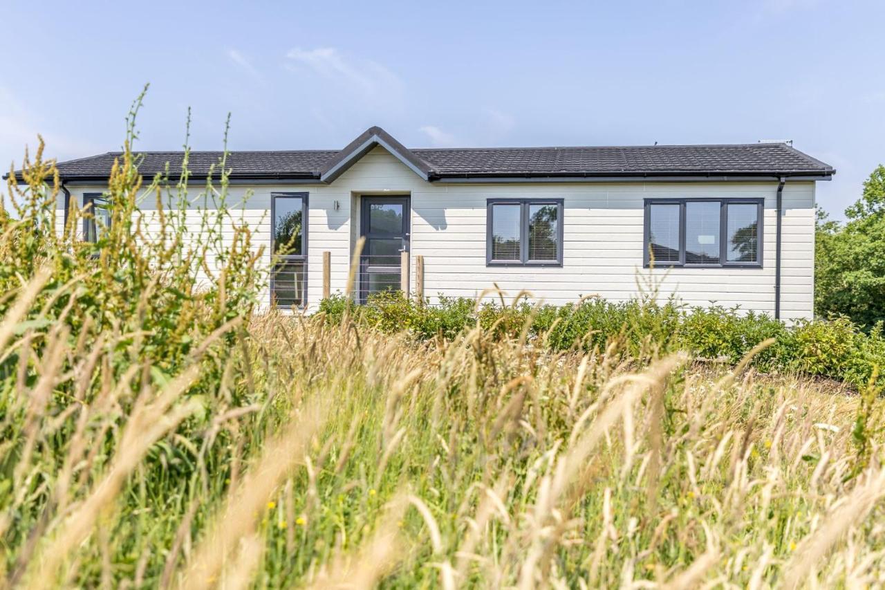 Rose Lodge, 21 Roadford Lake Lodges Lifton ภายนอก รูปภาพ